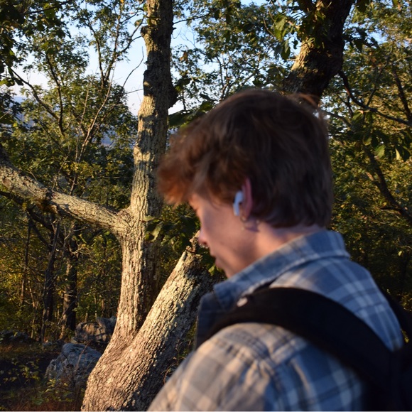 Meet your Posher, Miles - Picture 1 of 1